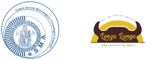 loghi-transfer-partner